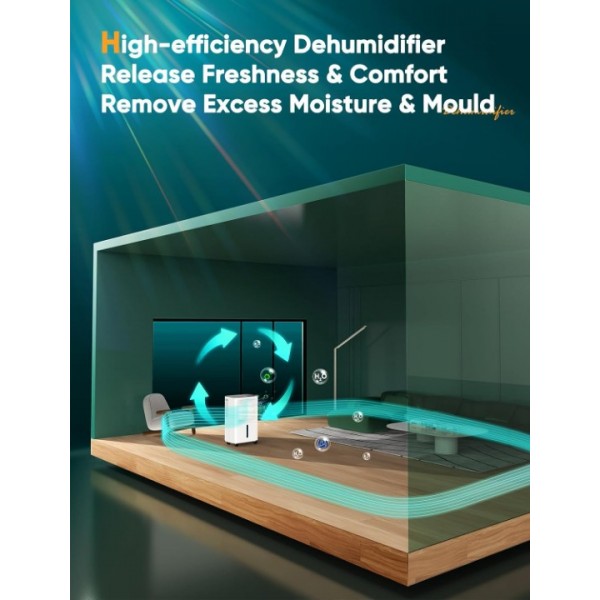 Dehumidifiers for Home Damp, Compressor Dehumidifier with Humidity Display&Control, Ultra Quiet, 24 Hour Timer, Water Tank & Drainage Hose, Ideal for Home/Basement/Office Damp, Laundry Drying